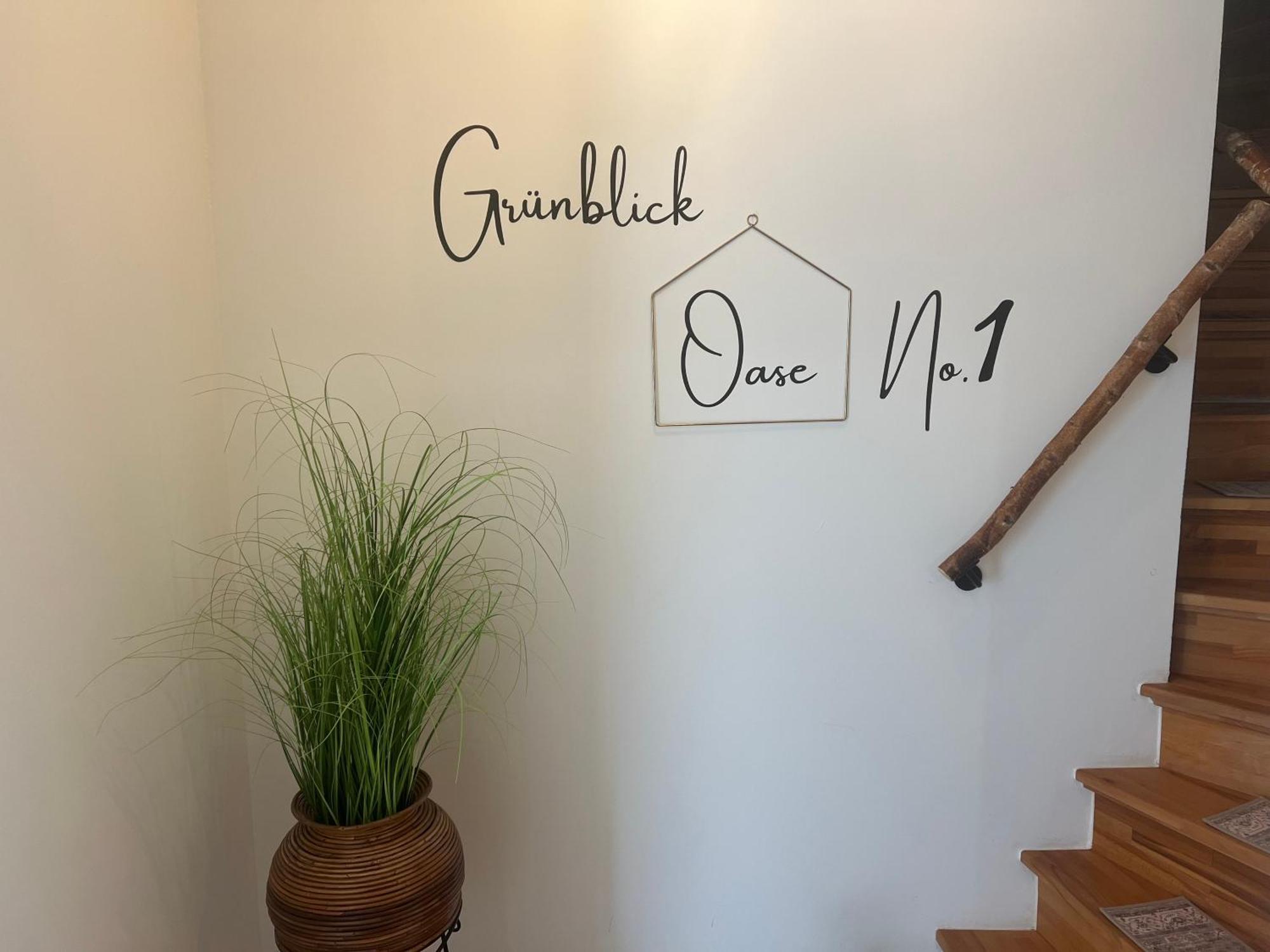 Gruenblick Oase No1 Ferienwohnung 비에스무르 외부 사진
